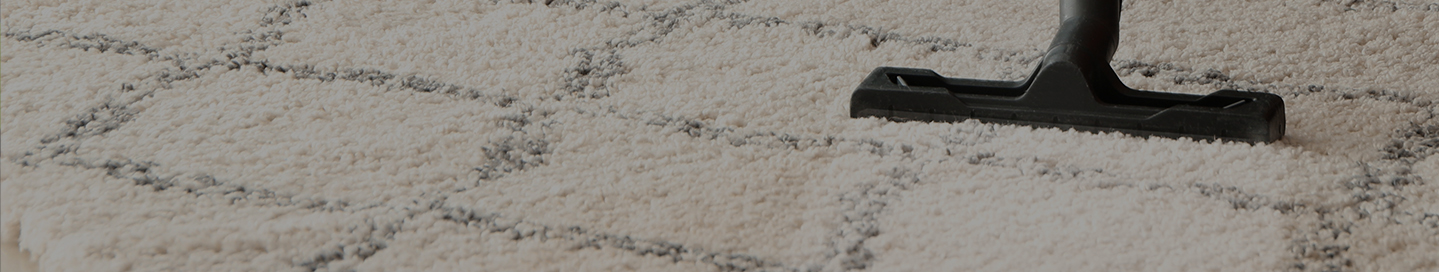 A carpet cleaner vacuuming a rug