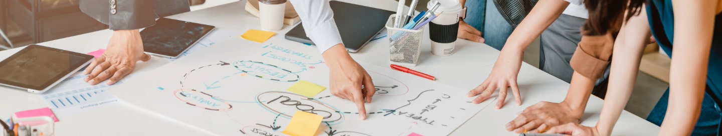 A marketing consultant explaining their project plan to a team of clients