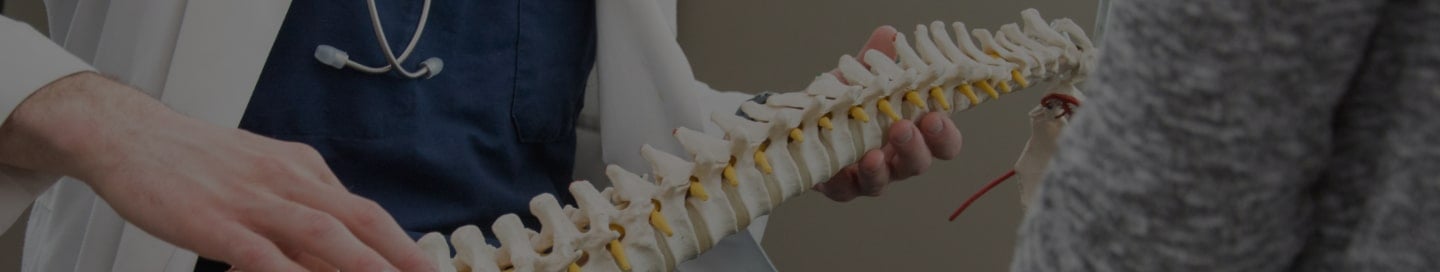 A chiropractor shows a model of the spine to a patient. A chiropractor shows a model of the spine to a patient.