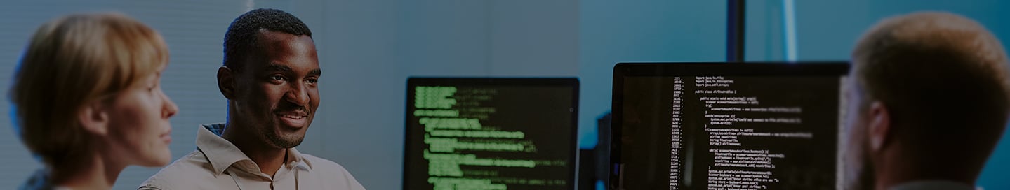 IT consultants working together in front of their computers.