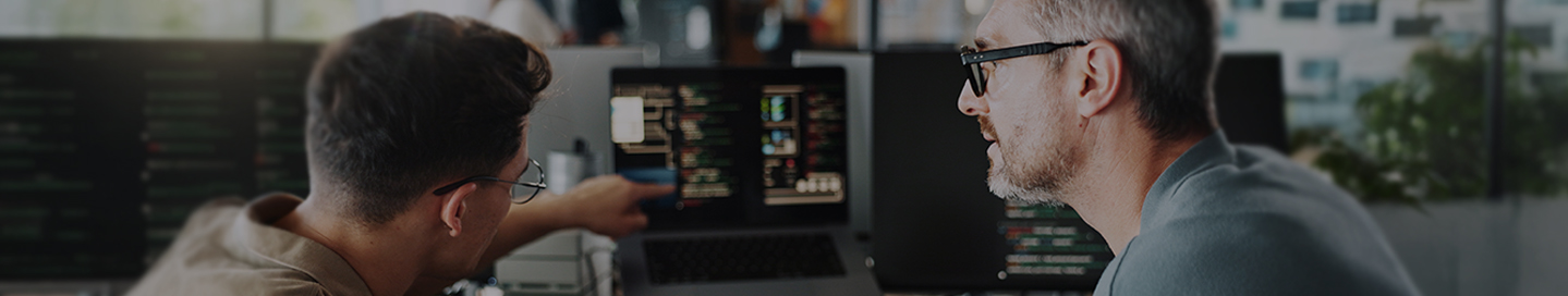 IT employees working together with a laptop.