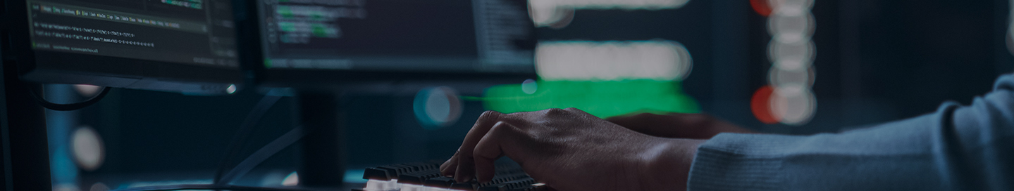 A penetration tester working at a computer.