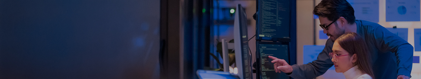 Two IT project managers in a meeting.