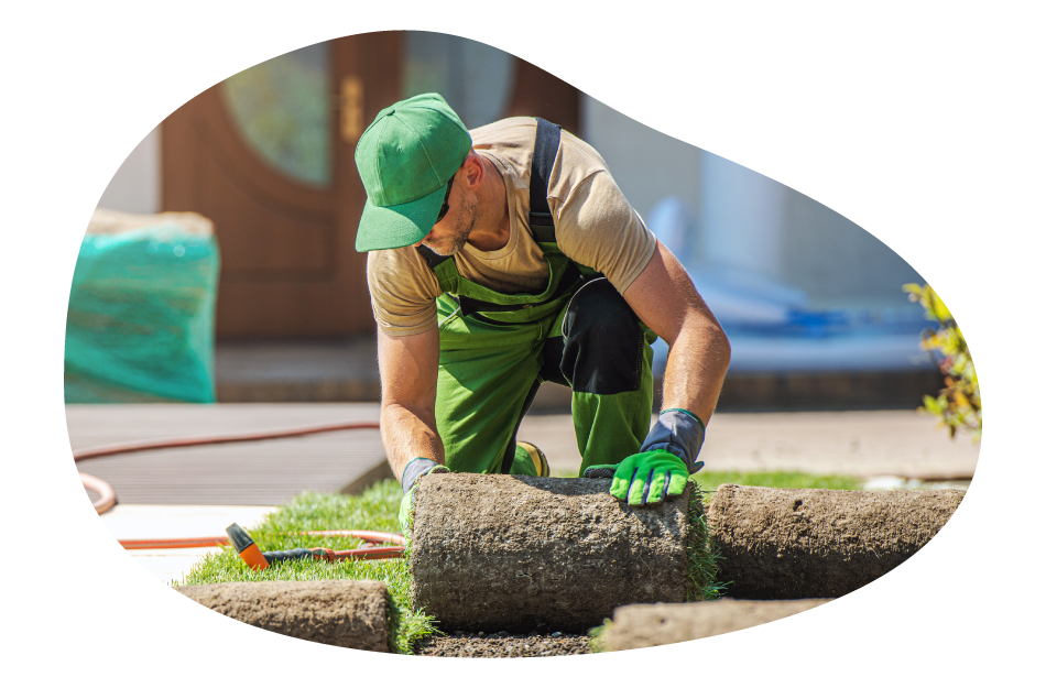 Lawn care employee laying sod on a client's property. Lawn care employee laying sod on a client's property.