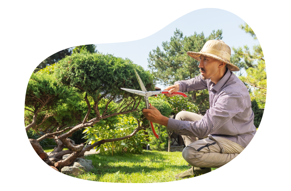 Tree service employee trimming branches.