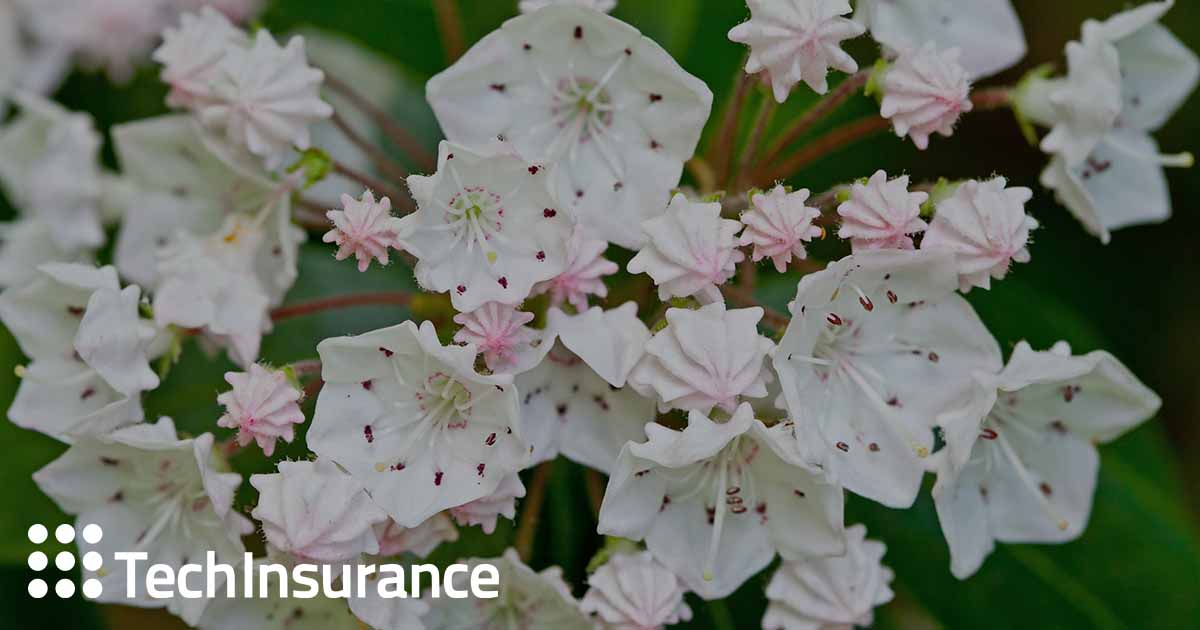 Pennsylvania Small Business Insurance Quotes Online Techinsurance