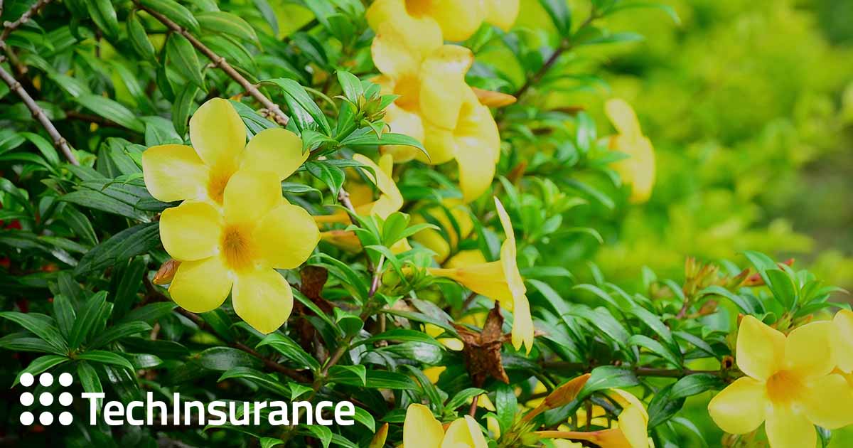 South Carolina Small Business Insurance Quotes Online Techinsurance