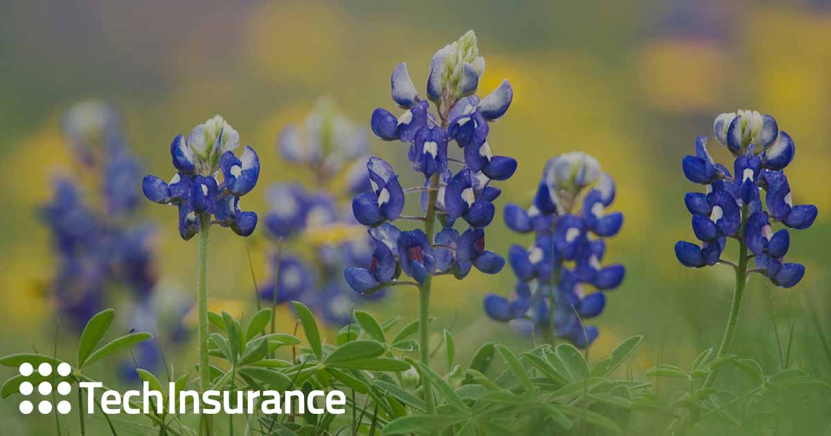 Texas Pattern Jury Charges—Business, Consumer, Insurance & Employment, 2020 ed- Texas Bar Practice